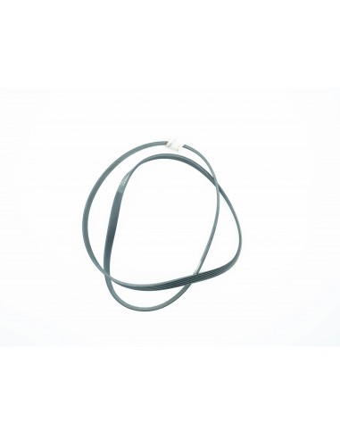CORREA J5-1136 OTSEIN BAUN