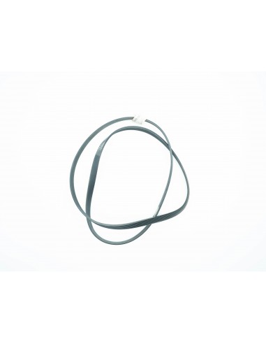 CORREA J5-1230 MA NEW-POL.SILTAL.CA