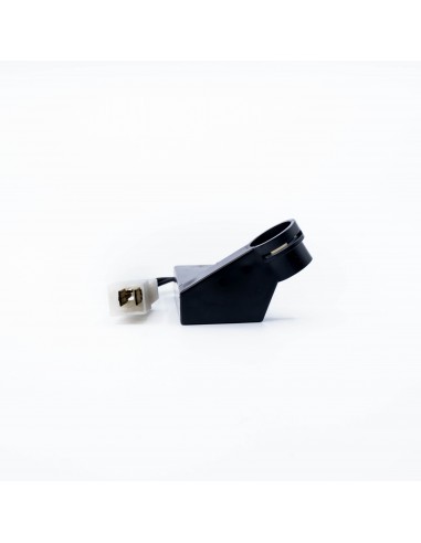 MICRORRUPTOR MICROSWITCH 810000133