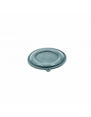 MEMBRANA COINTRA 10 L MODERNO