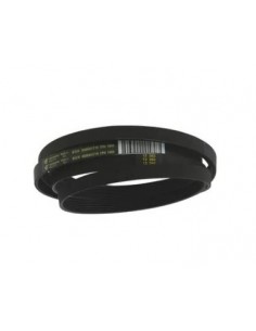 CORREA H7-1995  00650499