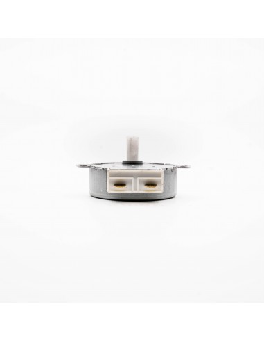 MOTOR GIRAPLATO HOM 5/6 RPM