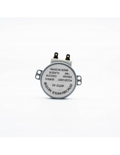MOTOR GIRAPLATO HOM 5/6 RPM 2